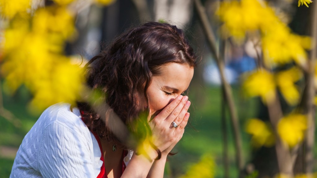 hay-fever-alergie-la-polen-uk